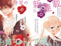 偏见漫画封面
